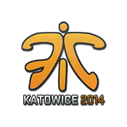 Fnatic | Катовице-2014