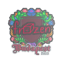frozen (вышитая) | Будапешт-2025