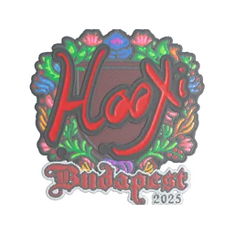 HooXi (вышитая) | Будапешт-2025
