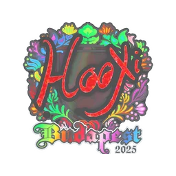 HooXi (голографическая) | Будапешт-2025