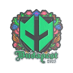 Imperial Esports (вышитая) | Будапешт-2025