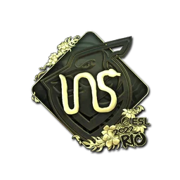 INS (золотая) | Рио-2022