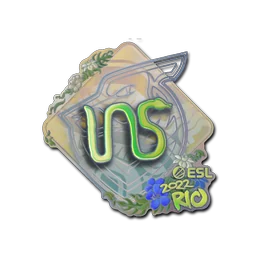 INS (голографическая) | Рио-2022