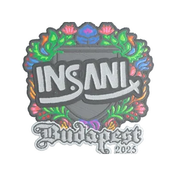 insani (вышитая) | Будапешт-2025