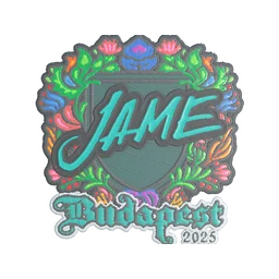 Jame (вышитая) | Будапешт-2025