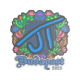 JT (вышитая) | Будапешт-2025