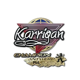 karrigan (чемпион) | Антверпен-2022