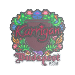 karrigan (вышитая) | Будапешт-2025