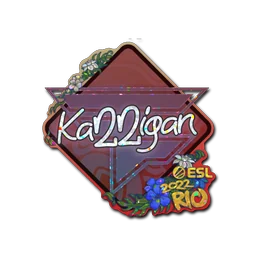karrigan (с блёстками) | Рио-2022
