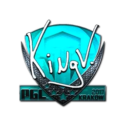 kNgV- (металлическая) | Краков-2017