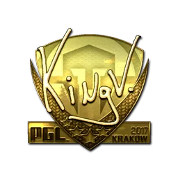 kNgV- (золотая) | Краков-2017