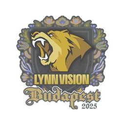 Lynn Vision | Будапешт-2025