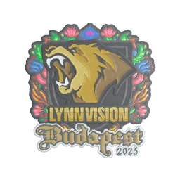 Lynn Vision (вышитая) | Будапешт-2025