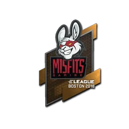 Misfits Gaming | Бостон-2018