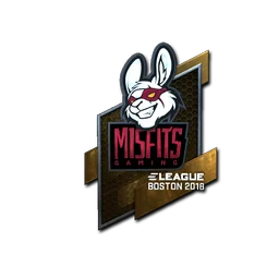 Misfits Gaming (металлическая) | Бостон-2018