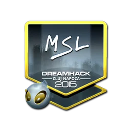 MSL (металлическая) | Клуж-Напока-2015