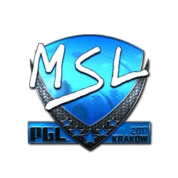 MSL (металлическая) | Краков-2017