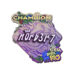 n0rb3r7 (чемпион) | Рио-2022