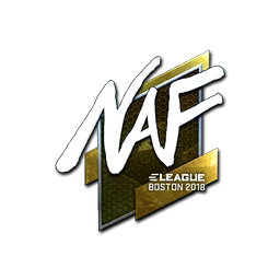 NAF (металлическая) | Бостон-2018