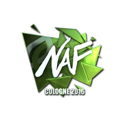 NAF (металлическая) | Кёльн-2016