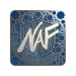 NAF (металлическая, итоговая) | Кёльн-2026