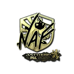 NAF (золотая) | Антверпен-2022