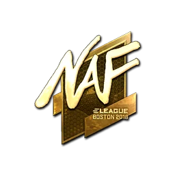 NAF (золотая) | Бостон-2018