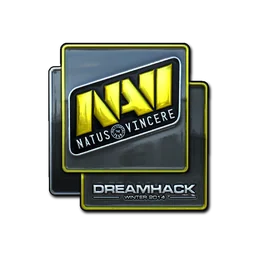 Natus Vincere (металлическая) | DreamHack 2014