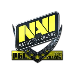 Natus Vincere (металлическая) | Краков-2017