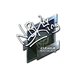 NBK- (металлическая) | Бостон-2018