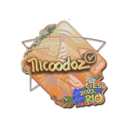 nicoodoz (голографическая) | Рио-2022