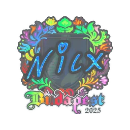 nicx (голографическая) | Будапешт-2025