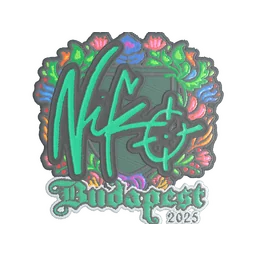 NiKo (вышитая) | Будапешт-2025