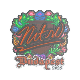 nitr0 (вышитая) | Будапешт-2025