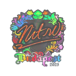 nitr0 (голографическая) | Будапешт-2025