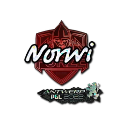 Norwi (с блёстками) | Антверпен-2022