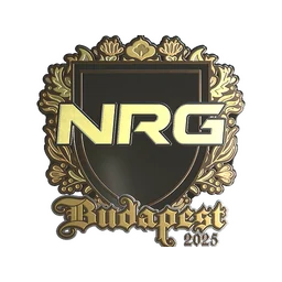 NRG (золотая) | Будапешт-2025