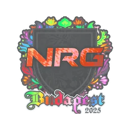 NRG (голографическая) | Будапешт-2025