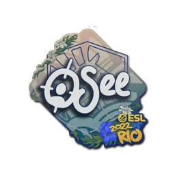 oSee | Рио-2022