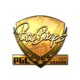 pashaBiceps (золотая) | Краков-2017