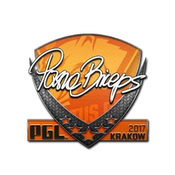 pashaBiceps | Краков-2017