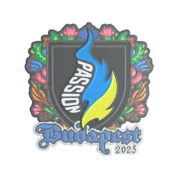 Passion UA (вышитая) | Будапешт-2025