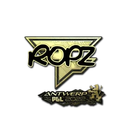 ropz (золотая) | Антверпен-2022