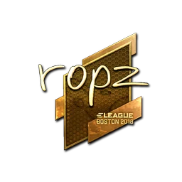 ropz (золотая) | Бостон-2018