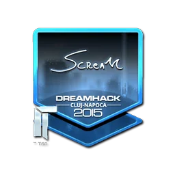 ScreaM (металлическая) | Клуж-Напока-2015