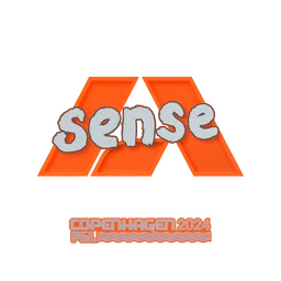 sense | Копенгаген-2024