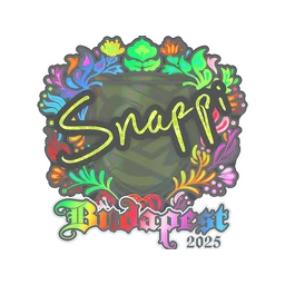 Snappi (голографическая) | Будапешт-2025