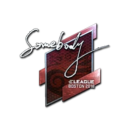 somebody (металлическая) | Бостон-2018