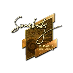 somebody (золотая) | Бостон-2018