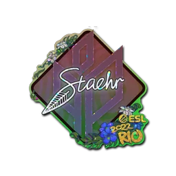 Staehr (с блёстками) | Рио-2022
